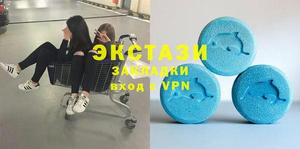 стаф Алзамай