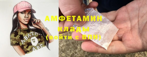 стаф Алзамай