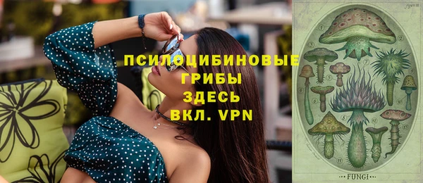 стаф Алзамай