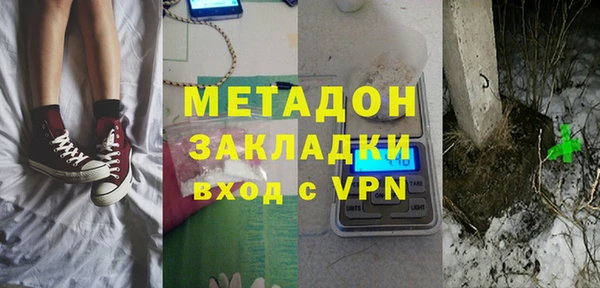 стаф Алзамай
