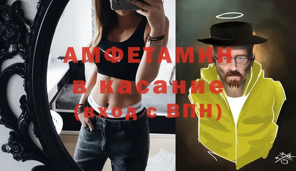 стаф Алзамай