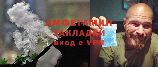 стаф Алзамай