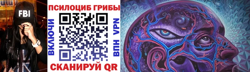 кракен ССЫЛКА Хвалынск Галлюциногенные грибы прущие грибы